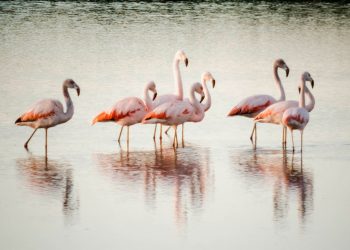 Descubriendo los paisajes que nos rodea con la mirada de la sangenarina Natalí Otero