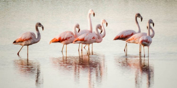 Descubriendo los paisajes que nos rodea con la mirada de la sangenarina Natalí Otero