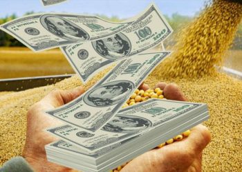 Oficial: el Gobierno amplió el dólar diferencial para el agro al resto de las exportaciones