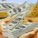 Oficial: el Gobierno amplió el dólar diferencial para el agro al resto de las exportaciones