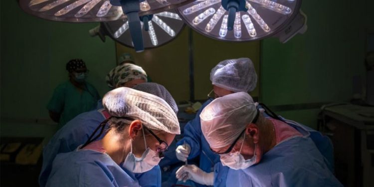 El Garrahan alcanzó los 1.000 trasplantes de hígado gracias a la donación de órganos