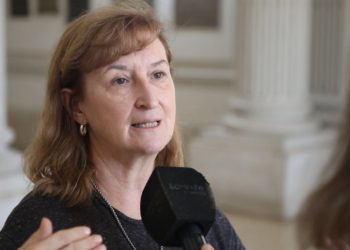 Dengue: situación en la provincia de Santa Fe