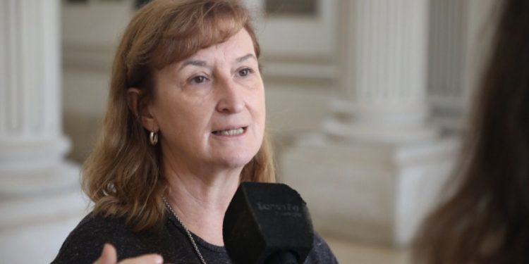 Dengue: situación en la provincia de Santa Fe