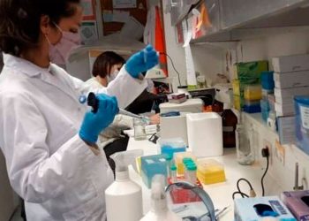 El LIF regularizó la producción de repelente y podría duplicar la cantidad de lo fabricado en 2023