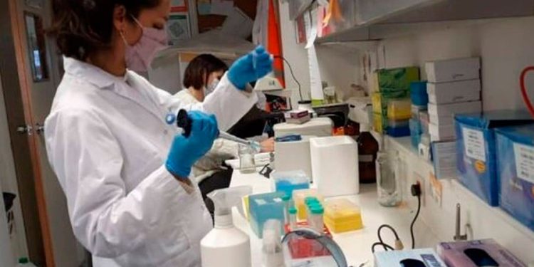 El LIF regularizó la producción de repelente y podría duplicar la cantidad de lo fabricado en 2023