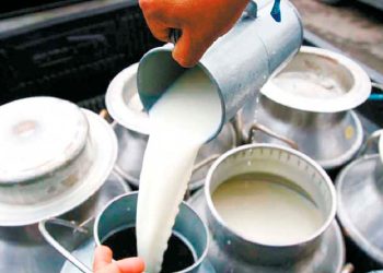 El consumo de leche cayó drásticamente en los últimos 8 años