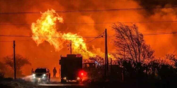 Confirman que los incendios en Córdoba fueron intencionales