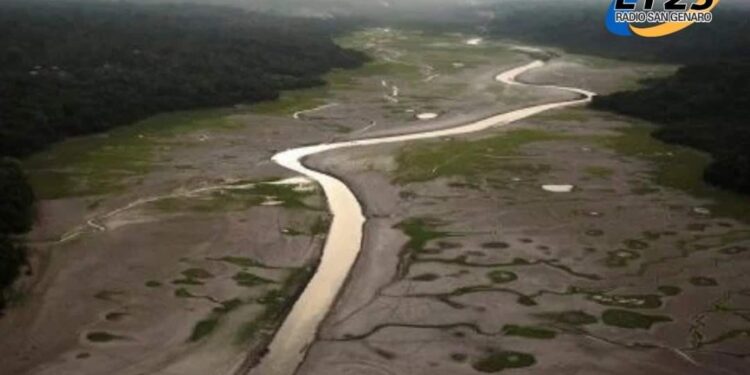 El Río Amazonas se seca: Alertan sobre los efectos del cambio climático.