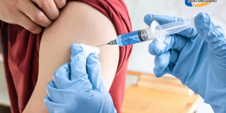 Solo el 10% de la población objetivo de Santa Fe se ha vacunado contra el dengue en el último mes