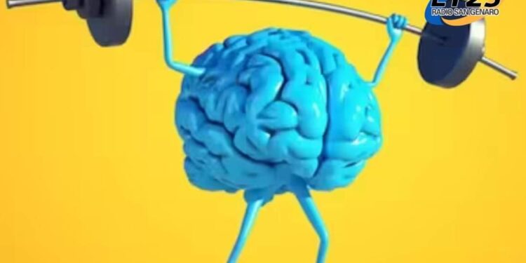 San Genaro: La subsecretaría provincial de personas con discapacidad visitó la ciudad