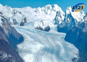 Coronda: Se realizó el concurso de juntadores de frutilla