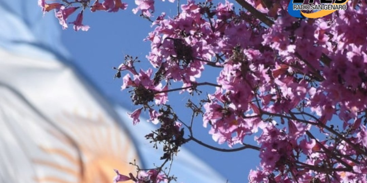 La municipalidad de Gálvez impulsa el proyecto forestal «Somos Paisaje»