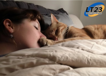 ¿Que significa que mi gato duerma en mi cabeza?