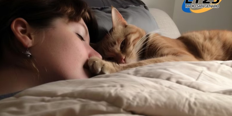 ¿Que significa que mi gato duerma en mi cabeza?