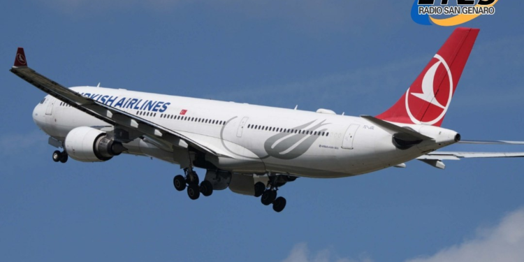 Un piloto de Turkish Airlines falleció en pleno vuelo.