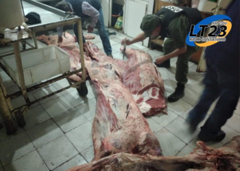 Los Pumas esclarecieron nueve casos de abigeato durante el mes de septiembre.