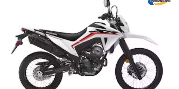 Honda lanzó la nueva XR300L tornado: como es y cuánto cuesta