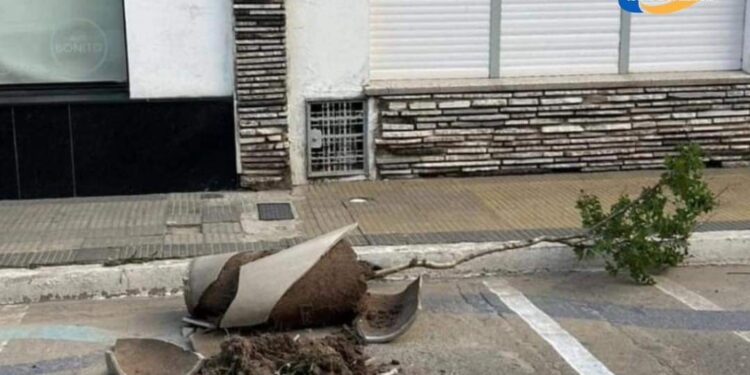 Coronda: Un detenido por daños calificados en la vía pública de la ciudad