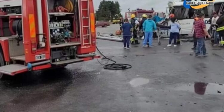 Tragedia en Carmen de Areco : Cuatro policías murieron en un choque entre un colectivo y un camión