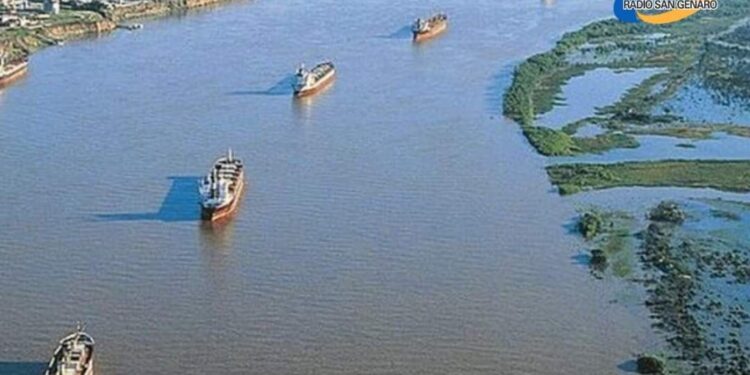 Aldosivi vuelve a la primera división del fútbol argentino