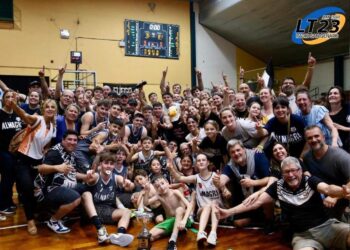 Aldosivi vuelve a la primera división del fútbol argentino