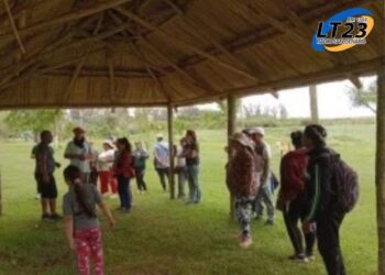 Aldosivi vuelve a la primera división del fútbol argentino