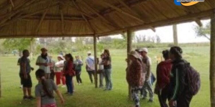 Aldosivi vuelve a la primera división del fútbol argentino