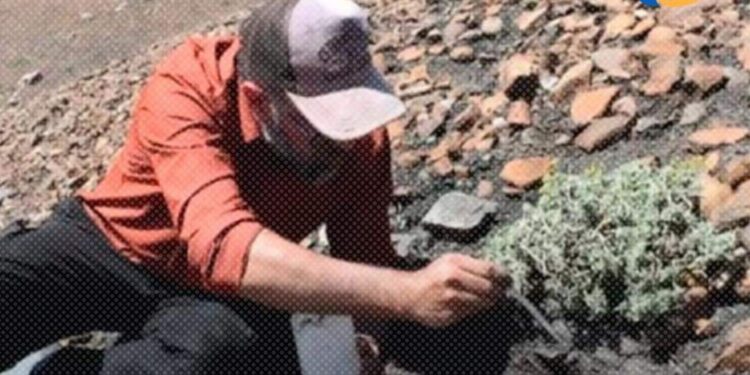 Exitosa 18º edición de la Fiesta Nacional de la Pyme Agroindustrial en Las Parejas