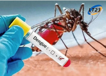 Se detectó el primer caso autóctono de dengue en la provincia de Santa Fe