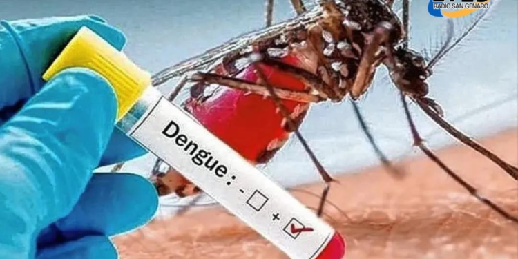 Se detectó el primer caso autóctono de dengue en la provincia de Santa Fe