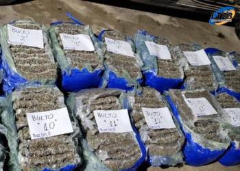 La Policía de Seguridad Vial secuestró más de 230 kilos de marihuana en el km 141 de la autopista Rosario-Santa Fe