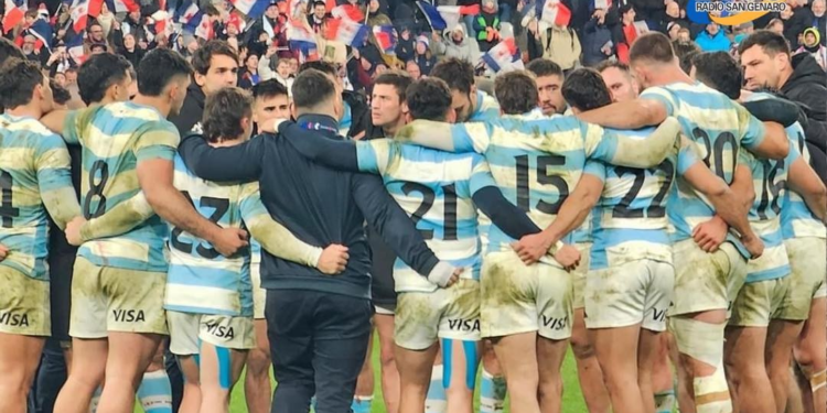 Los Pumas perdieron ante Francia en el ultimo partido del año