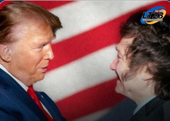 Javier Milei viajará a Estados Unidos para reunirse con Donald Trump, luego de ser elegido presidente electo.