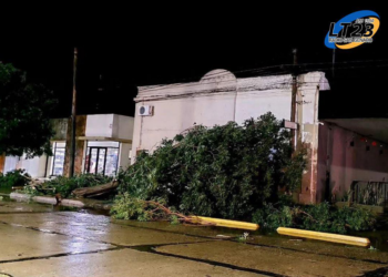 CARLOS PELLEGRINI: La fuerte tormenta tumbo árboles y ramas en distintos sectores.