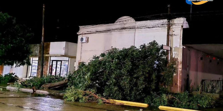 CARLOS PELLEGRINI: La fuerte tormenta tumbo árboles y ramas en distintos sectores.