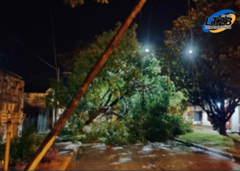 Cañada De Gómez: Destrozos por la tormenta e intensa actividad para Bomberos en la madrugada