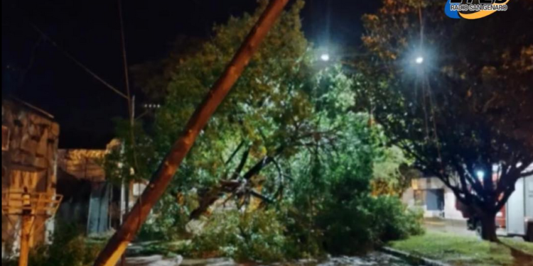 Cañada De Gómez: Destrozos por la tormenta e intensa actividad para Bomberos en la madrugada