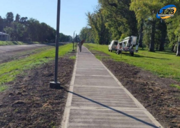 Andino inaugura el paseo peatonal con picnic nocturno, feria de artesanos y música en vivo