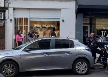 ROSARIO: UNA MUJER DEJÓ ENCERRADO A SU PERRO EN EL AUTO Y AL VOLVER LO ENCONTRÓ MUERTO