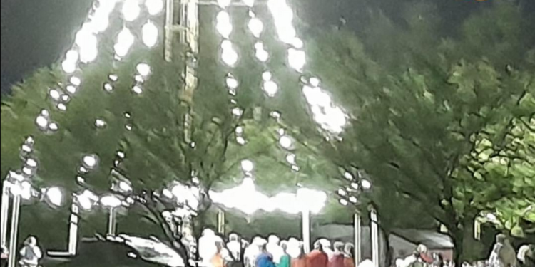 Salto Grande: Esta noche se encendió el Árbol de Navidad