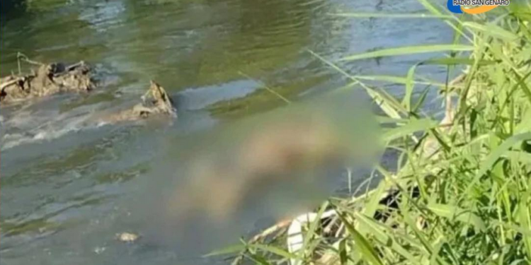 Santa Fe: Dos pescadores encontraron el cuerpo de una persona en aguas del río Salado