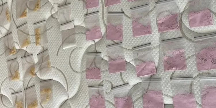 Detuvieron a 12 argentinos por vender droga en Punta del Este