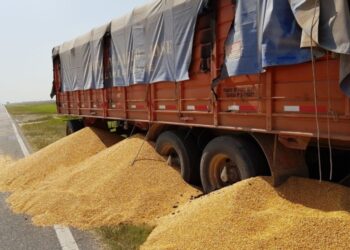 Robaron cereal con un carro de mano en San Lorenzo