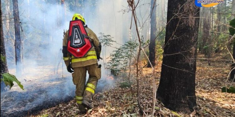 Lograron controlar voraz incendio en Capitán Bermúdez