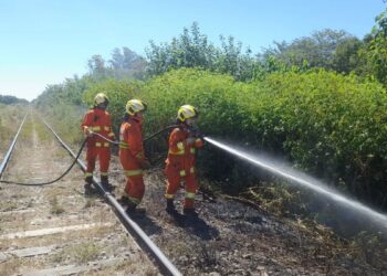 Bomberos voluntarios de Carcarañá trabajaron para combatir dos incendios forestales que se desataron en la zona
