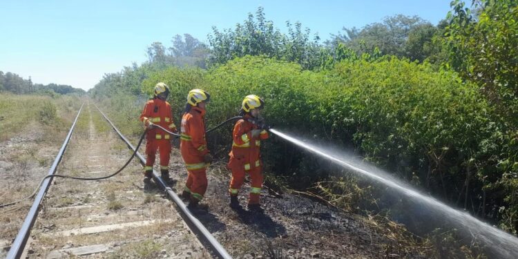 Bomberos voluntarios de Carcarañá trabajaron para combatir dos incendios forestales que se desataron en la zona