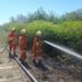 Bomberos voluntarios de Carcarañá trabajaron para combatir dos incendios forestales que se desataron en la zona