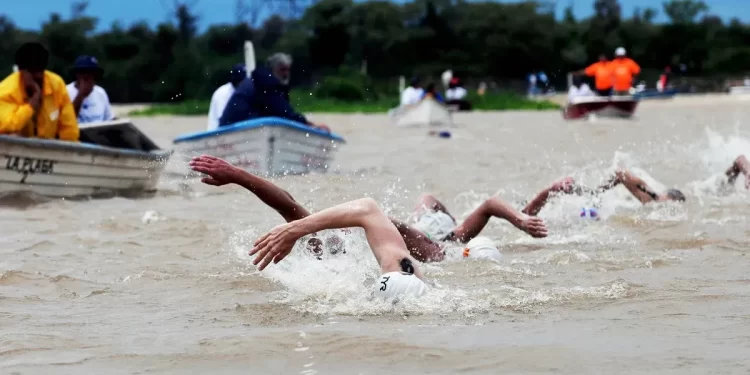 Maraton Santa Fe-Coronda: Ya confirmaron al menos 8 nadadores internaciones de primer nivel