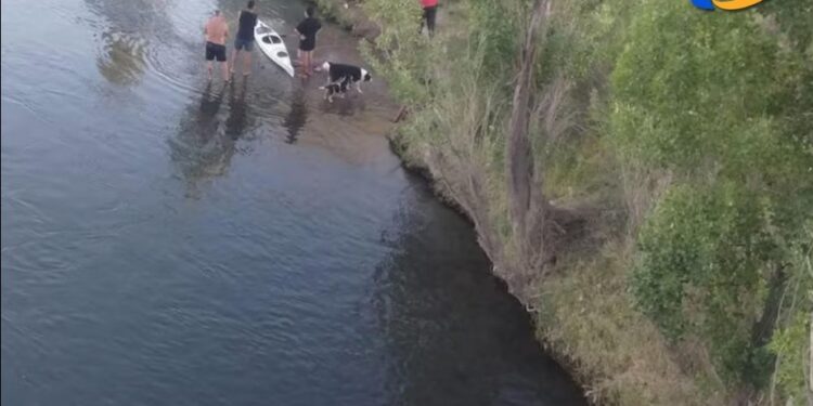 Buscan a una niña de 10 años desaparecida en el Rio Limay