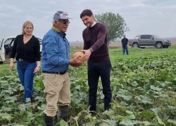 Santa Fe: invirtió más de 353 millones de dólares para potenciar al campo